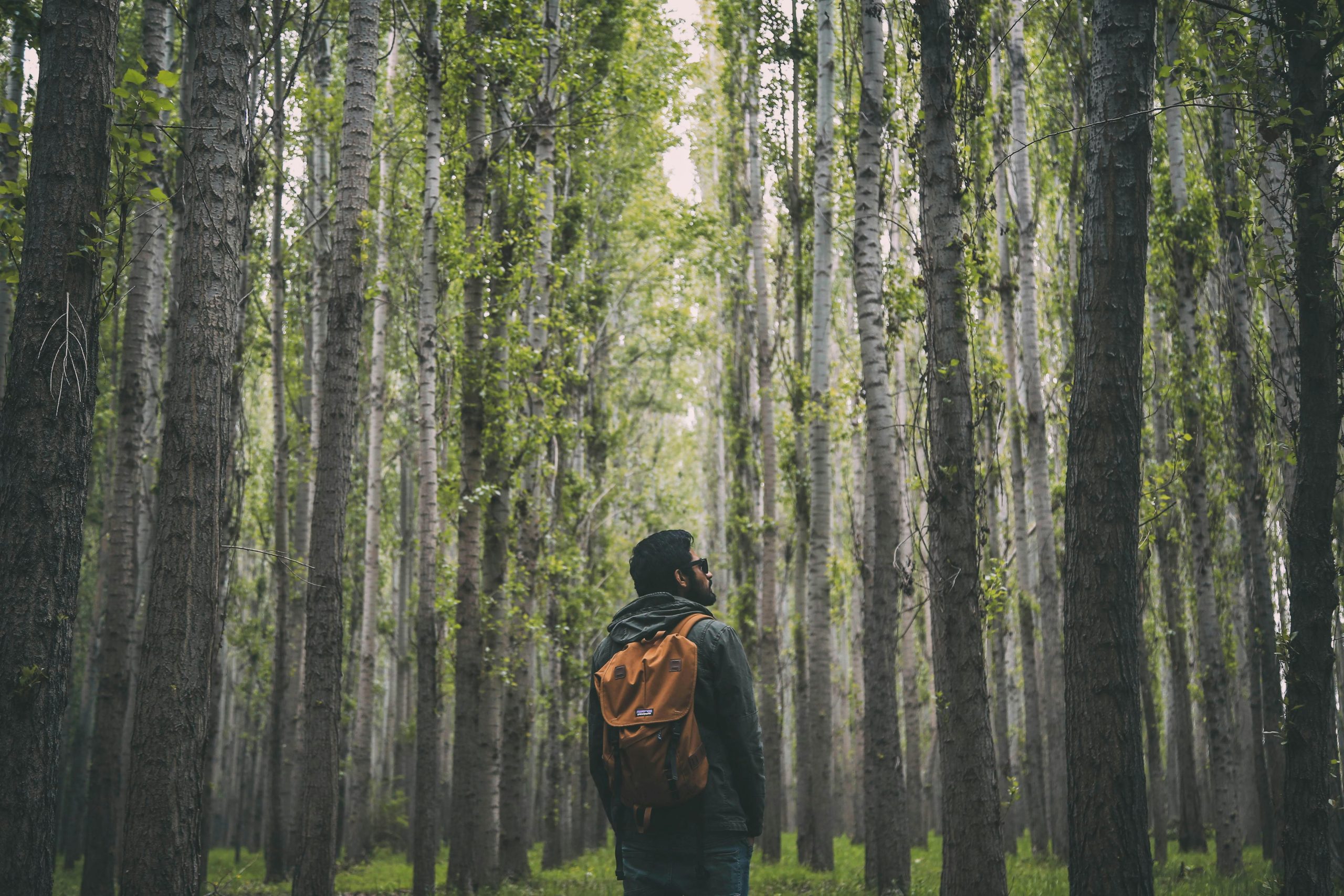 5 Ways Being Outdoors Supports Our Health